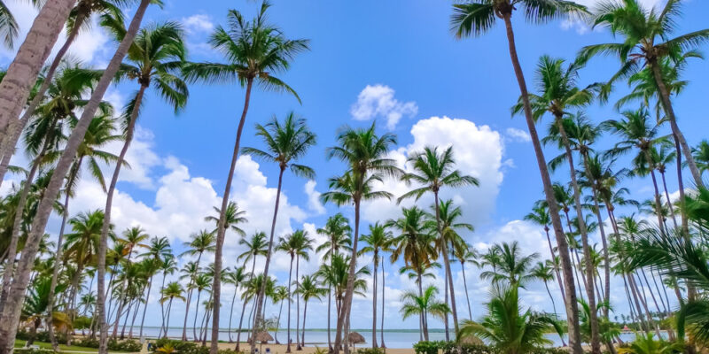 Playa de la región Este