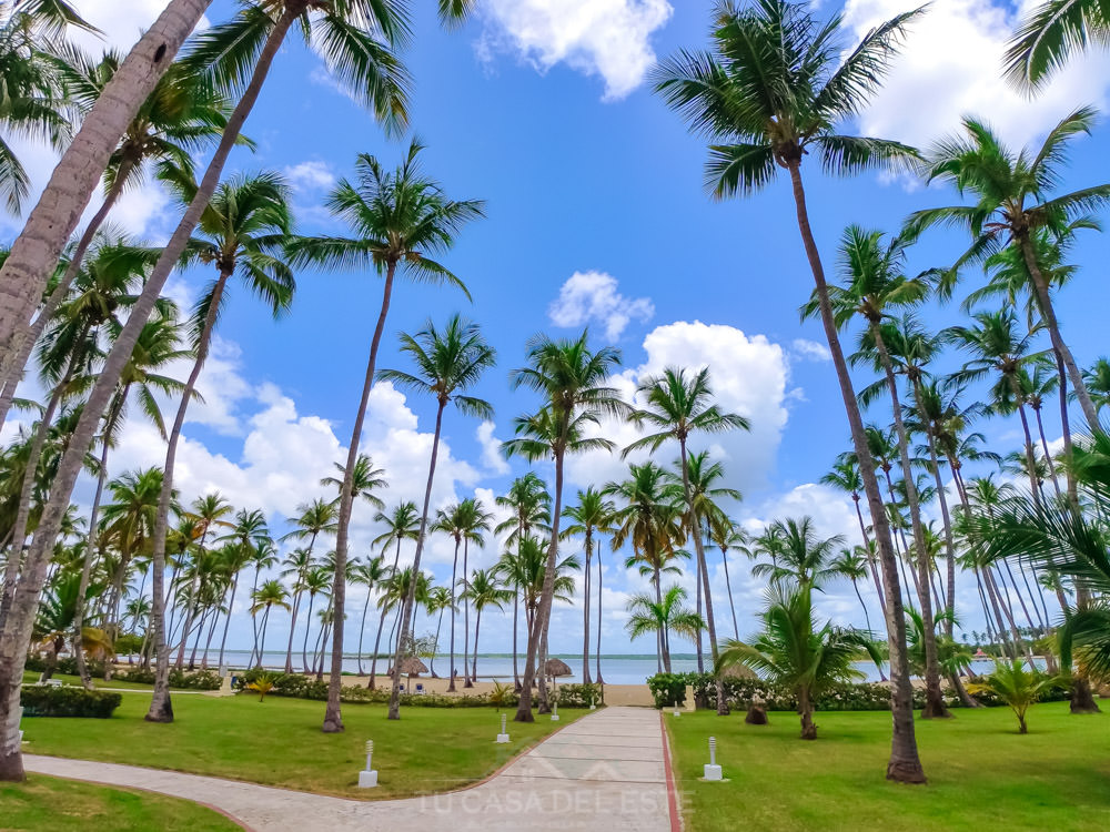 Playa de la región Este