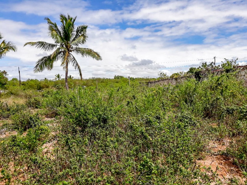 Solar frente al mar en Cumayasa en venta (846 m2)