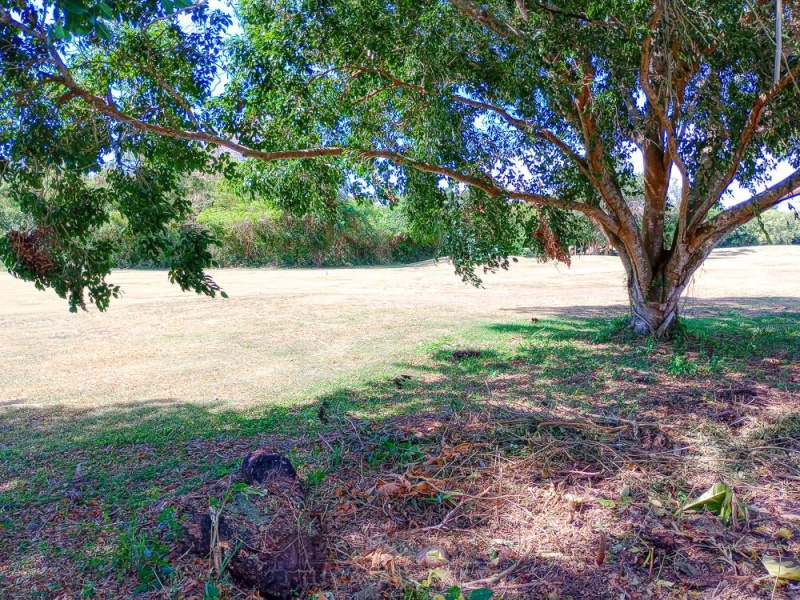 Solar en Venta en Metro Country Club de 1100 mts