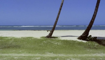 En Venta Villa en la playa Juan Dolio