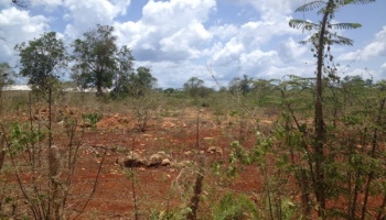 En Venta Terrenos en El Frutal, La Romana En Venta Terrenos en El Frutal, La Romana